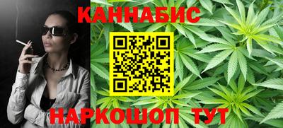 Альфа ПВП Малгобек