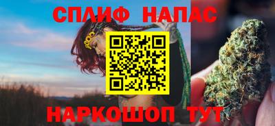 mdpv Малоярославец
