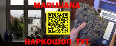 Альфа ПВП Малгобек