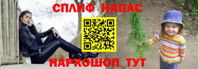 Альфа ПВП Малгобек