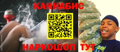 Альфа ПВП Малгобек