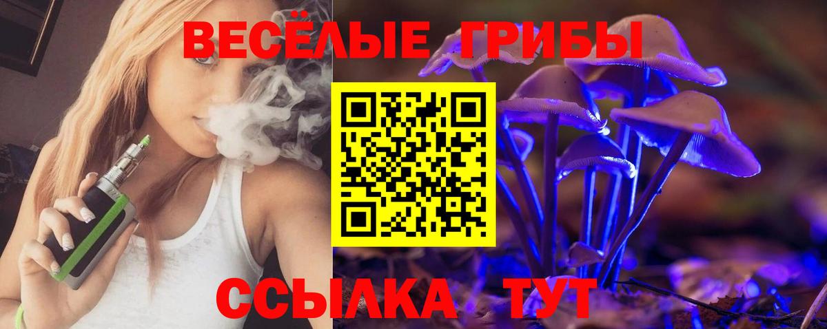 Псилоцибиновые грибы Magic Shrooms Черкесск